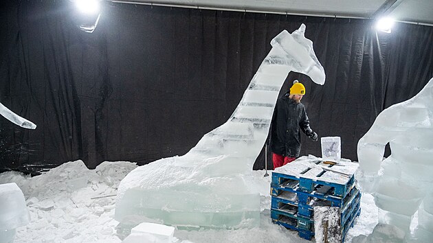 Pustevny host vstavu Ledov sochy, tmatem je tentokrt archa Noemova (leden 2024)