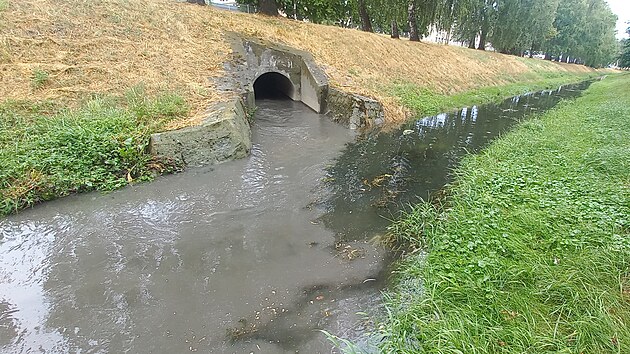 Do ek se v dsledku de asto dostv nepeitn voda z kanalizace. Snmek je z Drnovho potoka v Klatovech.