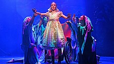 P�i p�ede�lém uvedení Heidi ve Vídni je�t� d�tské role obsadili dosp�lí herci....