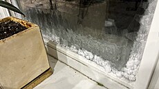 Zamrzlé okno v byt v Podolsku (7. ledna 2024)