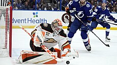 Branká Anaheim Ducks Luká Dostál kryje kotou v zápase s Tampa Bay Lightning.