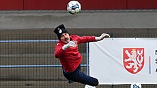 Branká Plzn Martin Jedlika v píprav na jarní ást ligové sezony.