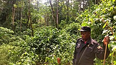 Bwindi Impenetrable National Park