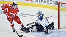 Jakub Navrátil p�ekonal Daniela Krále u� po dvaceti vte�inách hry.