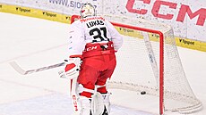 Gólová radost hokejist� Hradce Králové