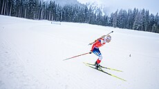 Jakub �tvrtecký / archivní foto.