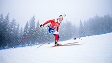 Jakub �tvrtecký / archivní foto.