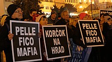 Protivládní demonstrace Slovák v ilin (18. ledna 2024)