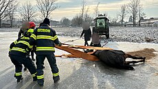 Hasi�i ve Spojilu pomáhali dostat na nohy kon�, který uklouzl na ledu.