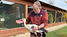 Libor �ejna ze Záchranné stanice �ivo�ich�  v Makov� s �ápem pro�íval v�echny...