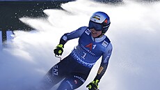 Italka Nicol Delagová b�hem sjezdu v Altenmarktu.