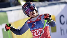 Italka Sofia Goggioavá po nedokoneném super-G v Altenmarktu-Zauchensee.