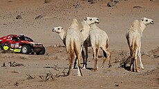 Martin Prokop na Rallye Dakar