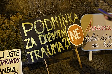 Demonstrace Spravedlnost pro obti znásilnní ped budovou Krajského soudu v...