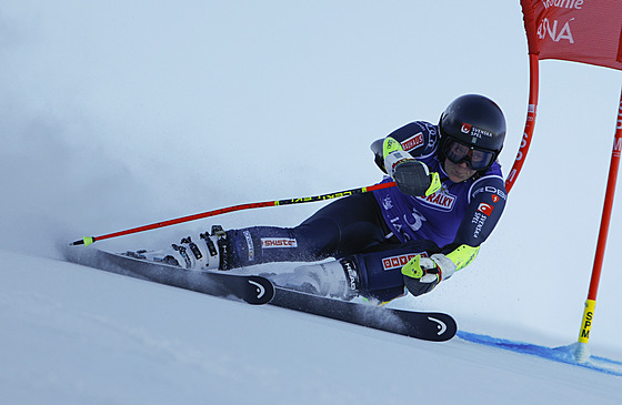 �védská ly�a�ka Sara Hectorová jede v prvním kole ob�ího slalomu Sv�tového...