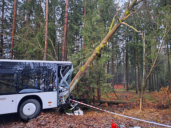 U Borohrádku narazil autobus do stromu. (24. ledna 2024)