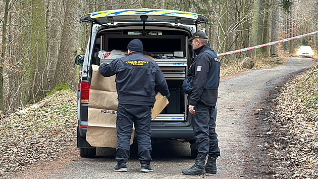 Útoky na lidi v lese, napadení sekerou. Pražská policie zadržela recidivistu