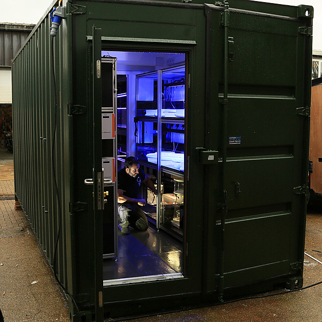 OBRAZEM: Korál ze zkumavky může pomoci zachránit ekosystém oceánů