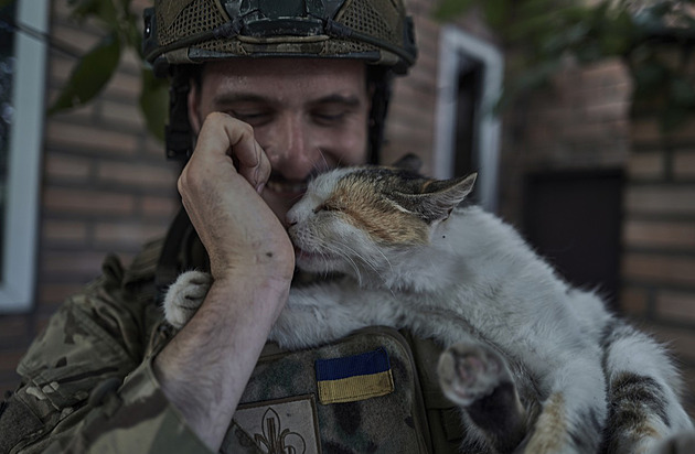 Kočky ovládly zákopy na Ukrajině. Vojákům pomáhají s psychikou i penězi