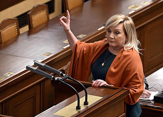 Nejsem Castro ani Gándhí, protestoval poslanec Lang proti omezení rozpravy