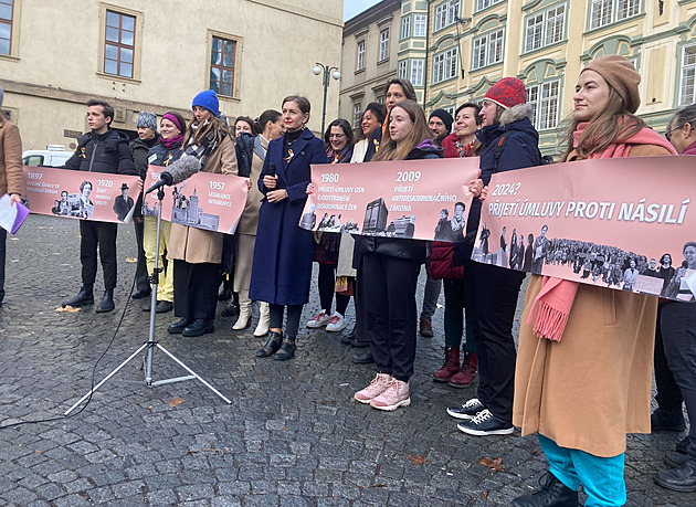 Jak schválit Istanbulskou úmluvu. Množina příznivců úmluvy a příznivců eura se prolíná