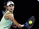 Ruska Anna Kalinská se natahuje po míi ve tvrtfinále Australian Open.