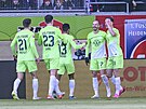 Václav erný (7) slaví se spoluhrái Wolfsburgu gól, který vstelil v sedmé...