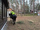 Policisté na koních kontrolovali chaty.