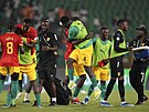 Guinejí fotbalisté slaví vítzství nad Gambií na Africkém poháru národ v...