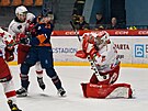 Tomá Volevecký, branká Slavie, zasahuje hokejkou v zápase na led Litomic.