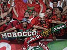 Marotí fotbaloví fanouci na Africkém poháru