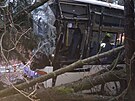 U Borohr�dku narazil autobus do stromu. (24. ledna 2024)