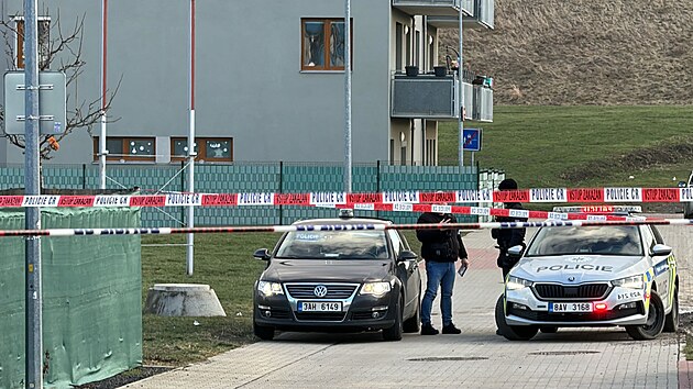 V Praze - Hostavicch tonk zranil enu sekerou na hlav. Policie po pachateli ptr. (25. ledna 2024)