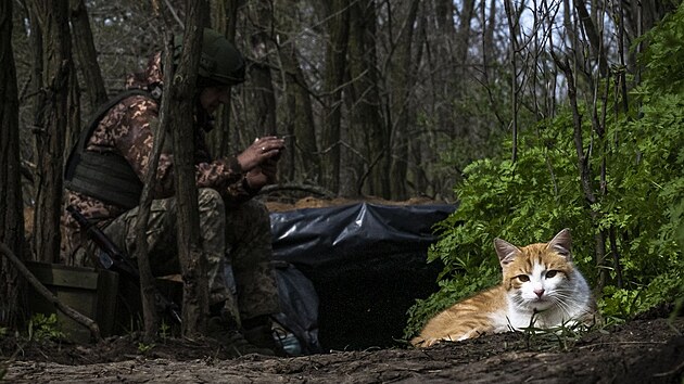 Ko�ky slou�� ukrajinsk�m voj�k�m na front� jako forma rozpt�len�, bojuj� ale i se z�plavou my�� a krys.