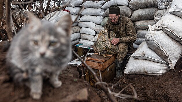 Koky slou ukrajinskm vojkm na front jako forma rozptlen, bojuj ale i se zplavou my a krys.