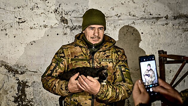 Ko�ky slou�� ukrajinsk�m voj�k�m na front� jako forma rozpt�len�, bojuj� ale i se z�plavou my�� a krys.