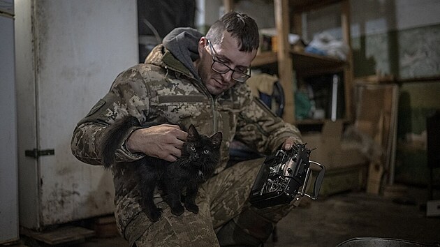 Koky slou ukrajinskm vojkm na front jako forma rozptlen, bojuj ale i se zplavou my a krys.