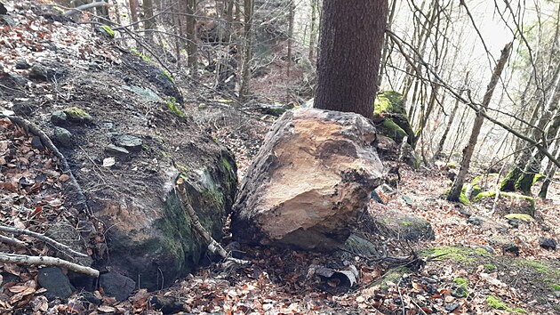 Nkter kameny se zachytily za stromy a dal pekky ve svahu. Budou co nejdve odborn odstranny. (24. ledna 2024)