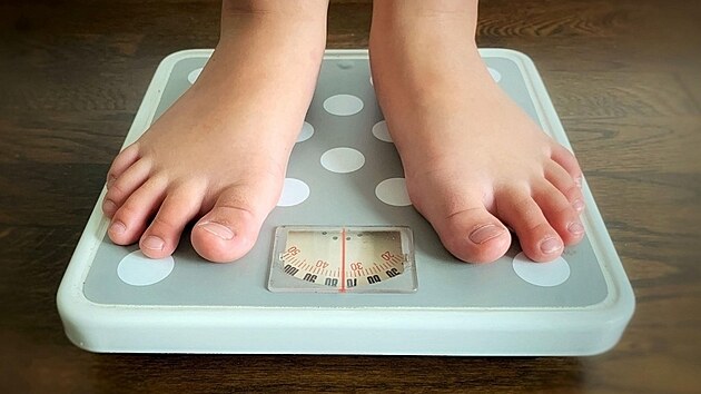 Ilustra�n� fotografie