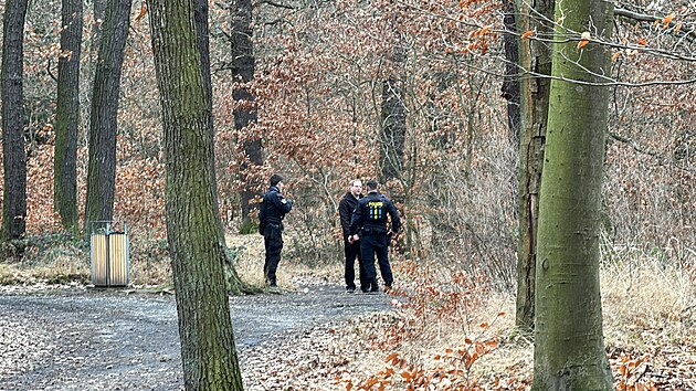 Policist ptraj v Kunratickm lese po neznmm tonkovi, nasadili i vrtulnk. (26. ledna 2024)