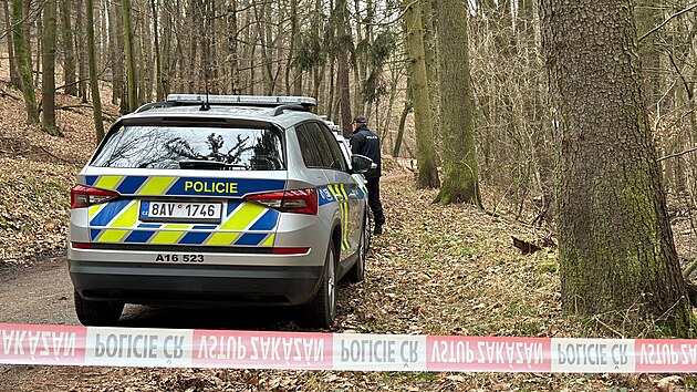 Pra�sk� policie v Kunratic�ch p�trala po nezn�m�m pachateli, kter� v lese napadl seniora p�i b�hu a dal�� dva lidi. (26. ledna 2024)