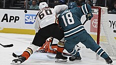Útoník San Jose Sharks Filip Zadina bojuje ped brankou Anaheim Ducks.
