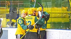 Vsetíntí junioi se radují z gólu proti Havíovu.