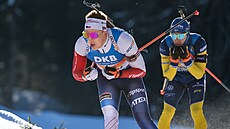 Joná Mareek na trati smíené tafety zdatn konkuroval védovi Nelinovi