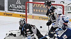 Puk kon�í v karlovarské brance