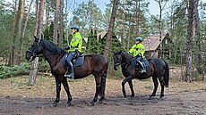 Policisté na koních kontrolovali chaty.