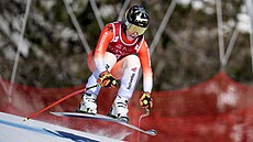 �výcarka Lara Gutová-Behramiová b�hem sjezdu v Cortin� d'Ampezzo.