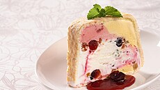 Zmrzlinový tunel s kandovaným ovocem 