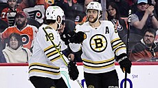 David Pastr�ák z Bostonu slaví sv�j gól se spoluhrá�em Pavlem Zachou.