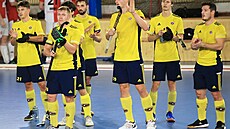 Hrái Litic v halové sezon,